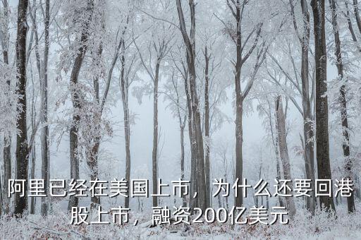 阿里已經(jīng)在美國上市，為什么還要回港股上市，融資200億美元