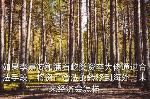 如果李嘉誠和潘石屹類資夲大佬通過合法手段，將資產合法的轉移到海外，未來經濟會怎樣