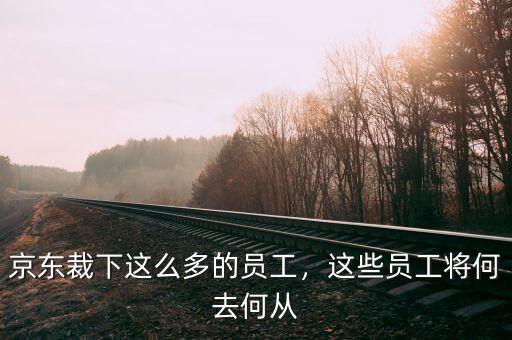 京東裁下這么多的員工，這些員工將何去何從