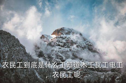 農(nóng)民工到底是什么工知道木工瓦工電工，農(nóng)民工呢