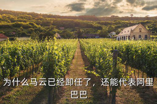 為什么馬云已經(jīng)卸任了，還能代表阿里巴巴