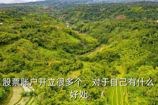 股票賬戶開立很多個，對于自己有什么好處