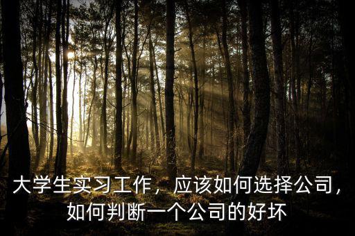 大學(xué)生實(shí)習(xí)工作，應(yīng)該如何選擇公司，如何判斷一個(gè)公司的好壞