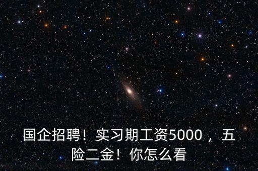 國企招聘！實(shí)習(xí)期工資5000 ，五險二金！你怎么看