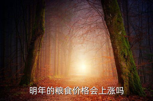 明年糧食價(jià)格怎么樣,明年的糧食價(jià)格會上漲嗎