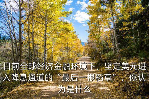 目前全球經(jīng)濟(jì)金融環(huán)境下，堅(jiān)定美元進(jìn)入降息通道的“最后一根稻草”，你認(rèn)為是什么