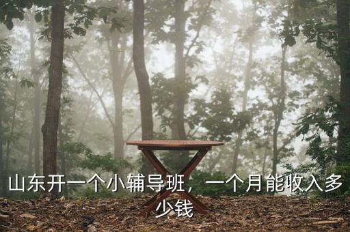 山東開一個(gè)小輔導(dǎo)班，一個(gè)月能收入多少錢
