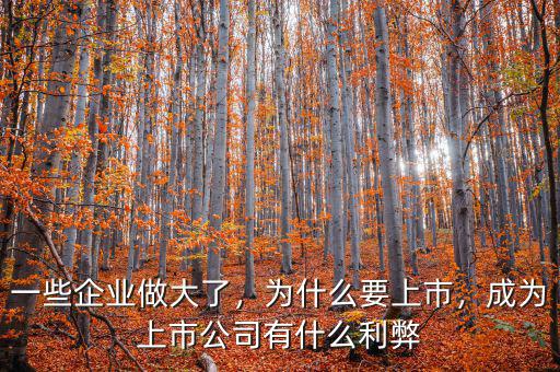 一些企業(yè)做大了，為什么要上市，成為上市公司有什么利弊