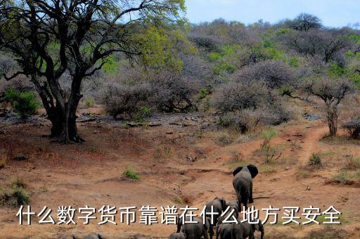 什么數字貨幣靠譜在什么地方買安全