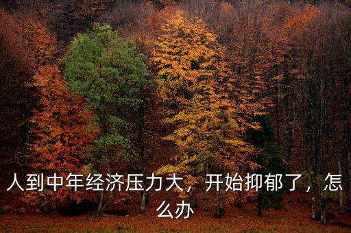 人到中年經(jīng)濟壓力大，開始抑郁了，怎么辦