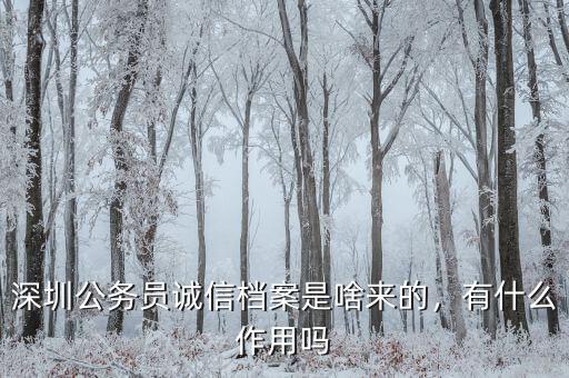 深圳公務(wù)員誠信檔案是啥來的，有什么作用嗎