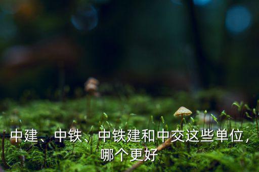 中建、中鐵、中鐵建和中交這些單位，哪個更好