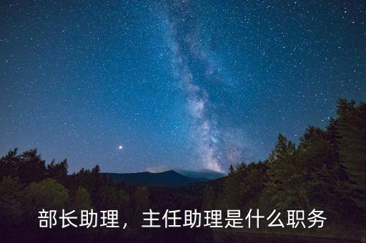 部長助理，主任助理是什么職務(wù)