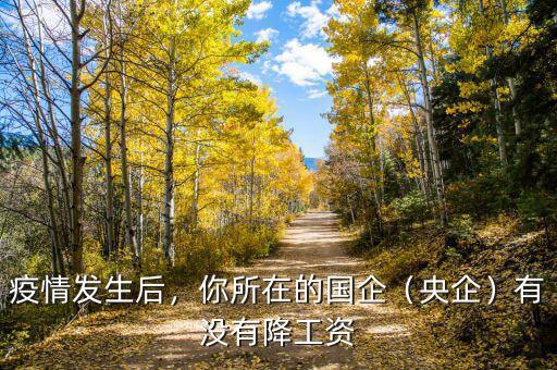 疫情發(fā)生后，你所在的國企（央企）有沒有降工資