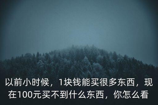 以前小時候，1塊錢能買很多東西，現(xiàn)在100元買不到什么東西，你怎么看