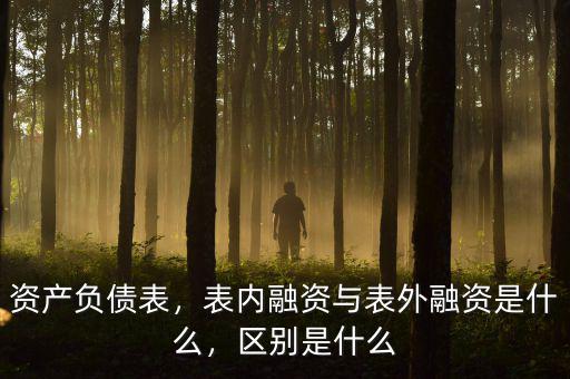 資產(chǎn)負債表，表內(nèi)融資與表外融資是什么，區(qū)別是什么