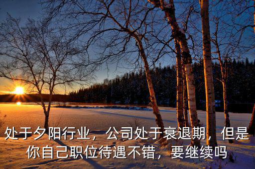 處于夕陽行業(yè)，公司處于衰退期，但是你自己職位待遇不錯，要繼續(xù)嗎