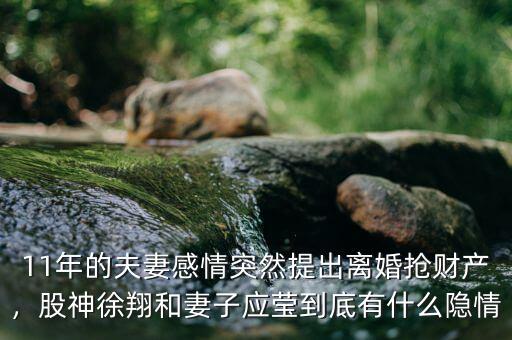 11年的夫妻感情突然提出離婚搶財產(chǎn)，股神徐翔和妻子應(yīng)瑩到底有什么隱情