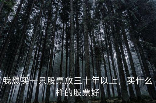我想買一只股票放三十年以上，買什么樣的股票好