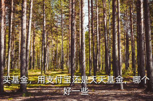 買基金，用支付寶還是天天基金，哪個(gè)好一些