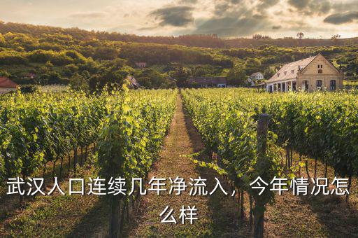 武漢人口連續(xù)幾年凈流入，今年情況怎么樣