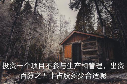 投資一個項目不參與生產和管理，出資百分之五十占股多少合適呢