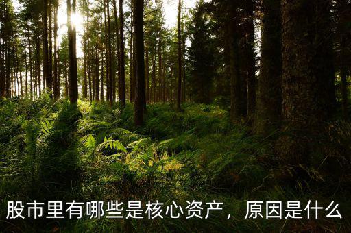 股市里有哪些是核心資產(chǎn)，原因是什么