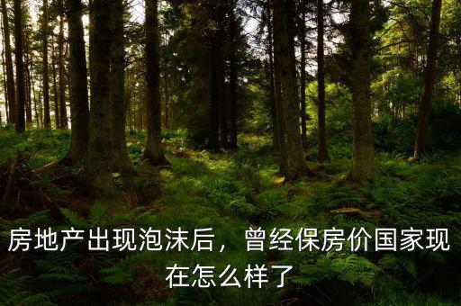 房地產(chǎn)出現(xiàn)泡沫后，曾經(jīng)保房價國家現(xiàn)在怎么樣了