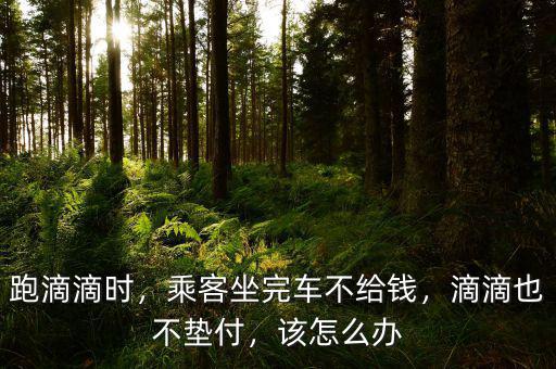 易到乘客不付錢(qián)怎么辦,乘客坐完車不給錢(qián)