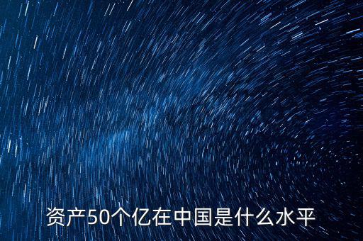 資產(chǎn)50個(gè)億在中國是什么水平