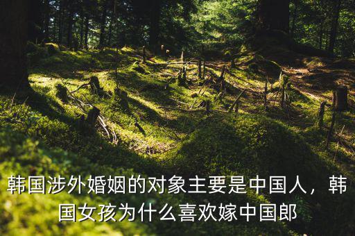 韓國人為什么不愿意結婚,為什么現在單身的人越來越多