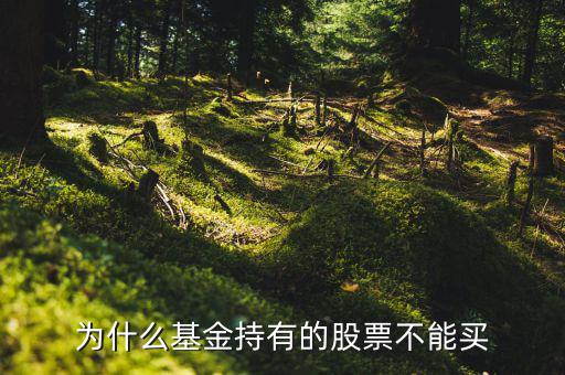 為什么不買基金重倉(cāng)股,為什么基金重倉(cāng)股不能買