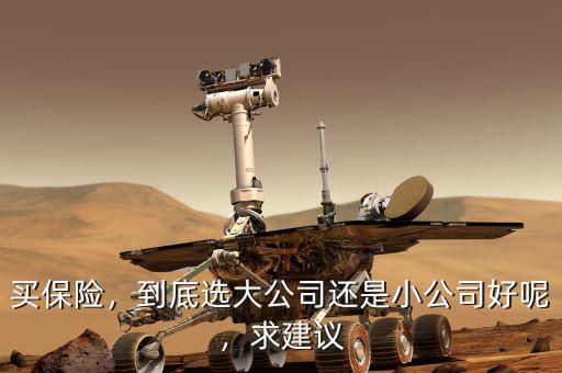 買保險，到底選大公司還是小公司好呢，求建議