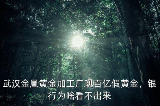 武漢金凰黃金加工廠現(xiàn)百億假黃金，銀行為啥看不出來(lái)