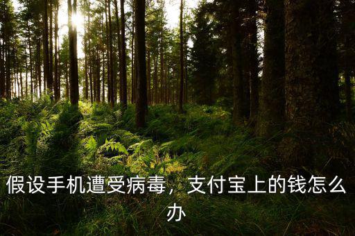 假設(shè)手機遭受病毒，支付寶上的錢怎么辦