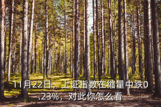 11月22日，上證指數(shù)在縮量中跌0.23%，對此你怎么看