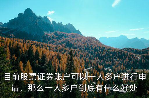 目前股票證券賬戶可以一人多戶進行申請，那么一人多戶到底有什么好處