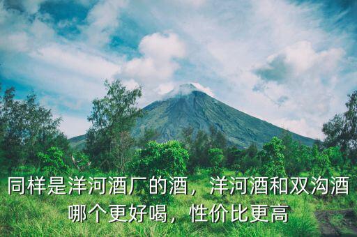 同樣是洋河酒廠的酒，洋河酒和雙溝酒哪個更好喝，性價比更高