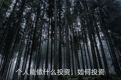 個(gè)人能做什么投資，如何投資