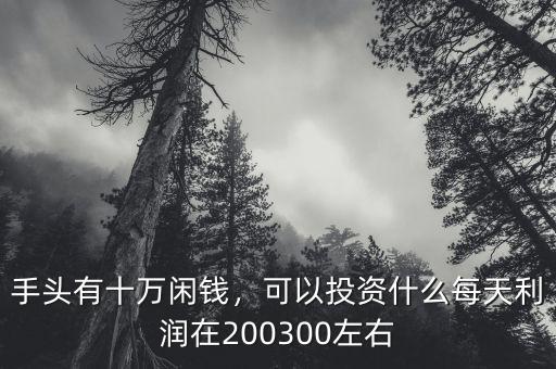 手頭有十萬(wàn)閑錢(qián)，可以投資什么每天利潤(rùn)在200300左右