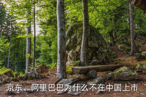 京東、阿里巴巴為什么不在中國上市
