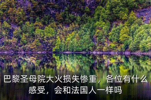 巴黎圣母院大火損失慘重，各位有什么感受，會和法國人一樣嗎