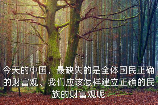 今天的中國(guó)，最缺失的是全體國(guó)民正確的財(cái)富觀、我們應(yīng)該怎樣建立正確的民族的財(cái)富觀呢