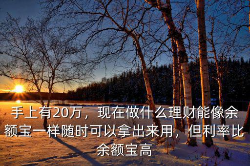 手上有20萬，現(xiàn)在做什么理財能像余額寶一樣隨時可以拿出來用，但利率比余額寶高