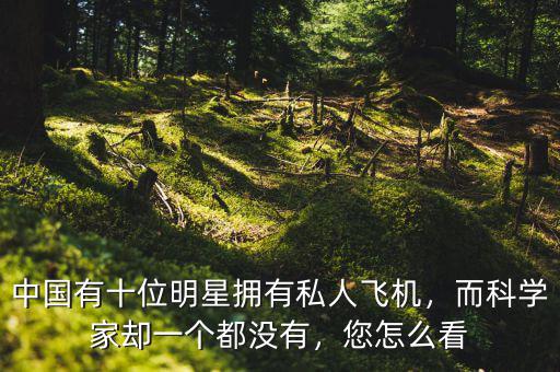 中國(guó)有十位明星擁有私人飛機(jī)，而科學(xué)家卻一個(gè)都沒(méi)有，您怎么看