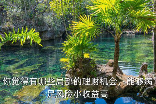 你覺得有哪些局部的理財機(jī)會，能夠滿足風(fēng)險小收益高