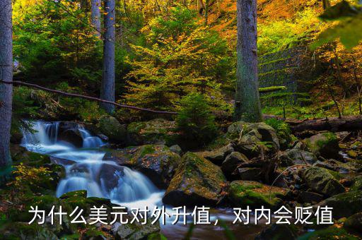 為什么美元對外升值，對內會貶值