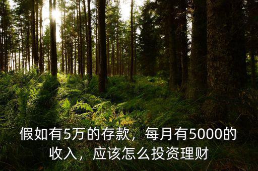 假如有5萬(wàn)的存款，每月有5000的收入，應(yīng)該怎么投資理財(cái)