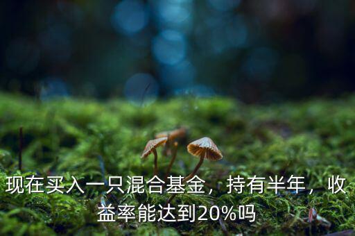 現(xiàn)在買入一只混合基金，持有半年，收益率能達(dá)到20%嗎
