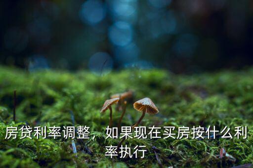 房貸利率調(diào)整，如果現(xiàn)在買房按什么利率執(zhí)行